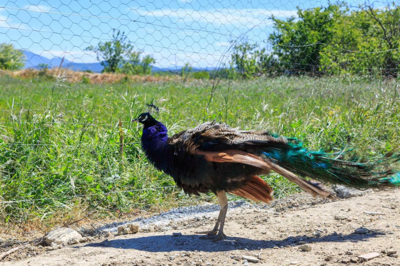 Lou Mas Li Pitchoun "Le Grenier" Daire Gordes Dış mekan fotoğraf