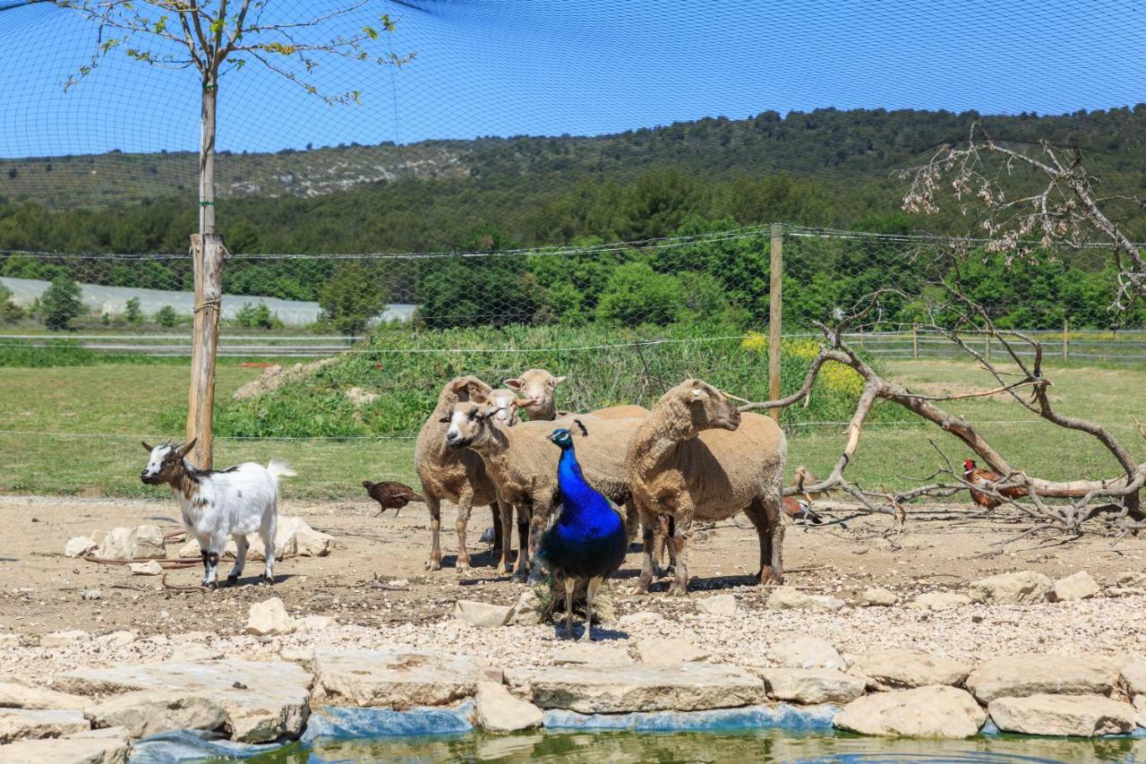 Lou Mas Li Pitchoun "Le Grenier" Daire Gordes Dış mekan fotoğraf